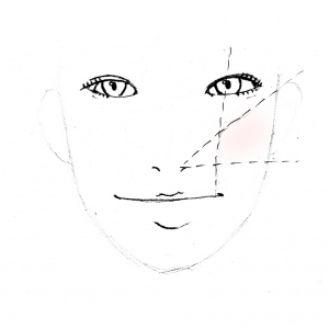 チークが入る範囲は、画像のように「小鼻と耳上の線と、小鼻と耳下の線が交わる場所の範囲」が基本になります
